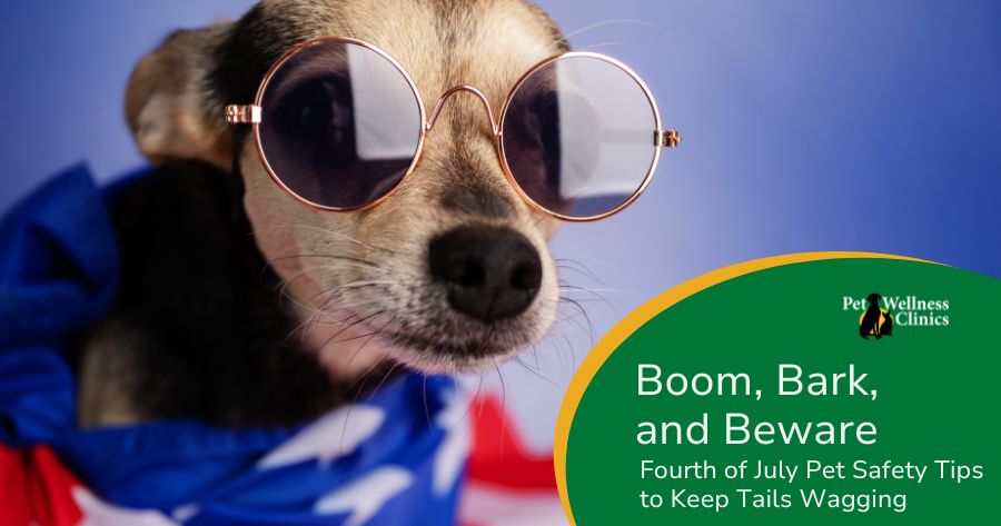 Boom, Bark, and Beware