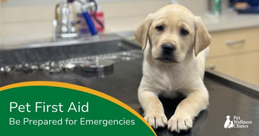 Pet First Aid Awareness