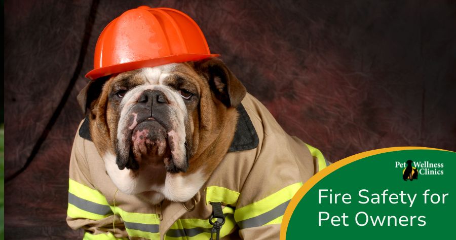 Fire Safety for Pet Owners