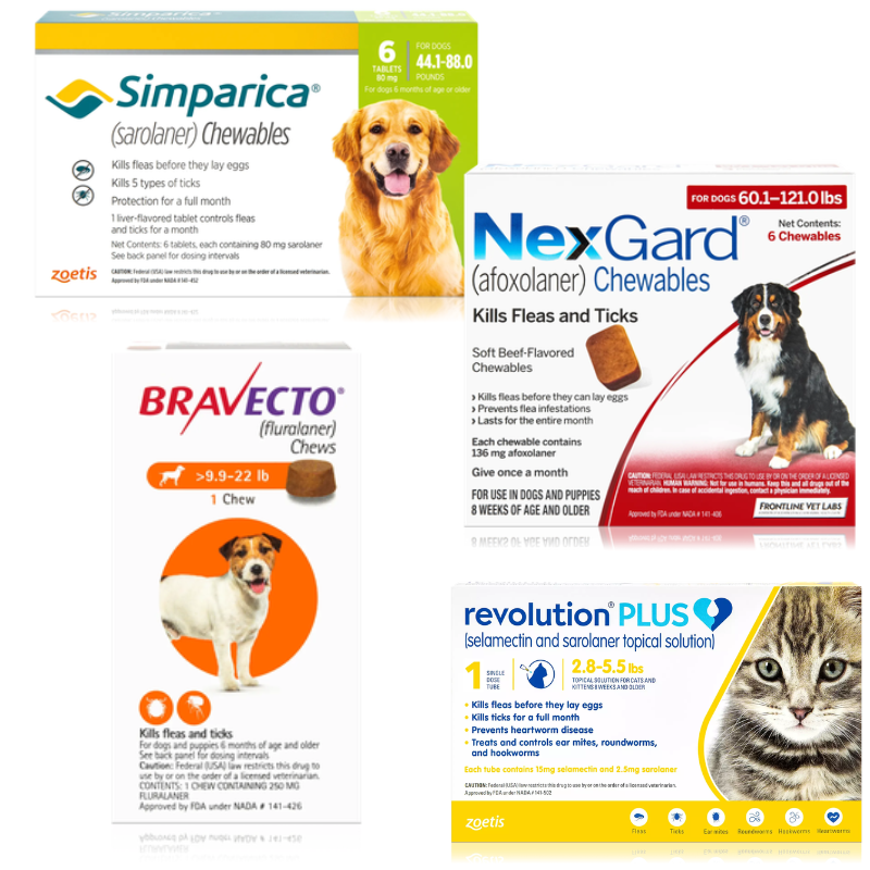 Parasite Prevention - Flea & Tick Control