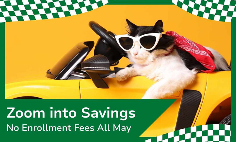 Pet Prime Promotion