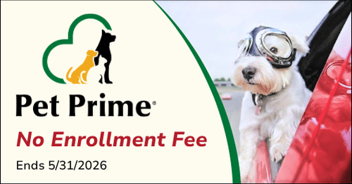 Pet Prime