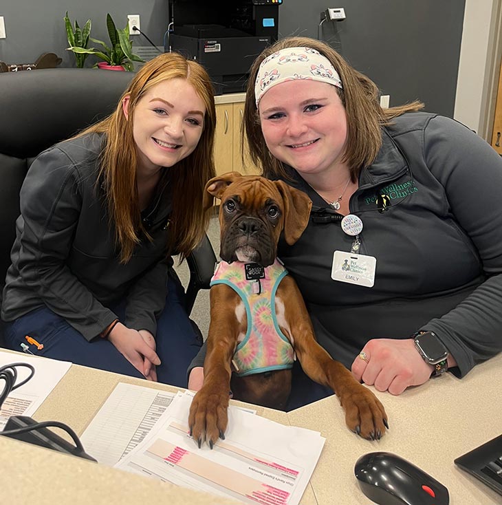 Pet Wellness Clinic Hospital Policies