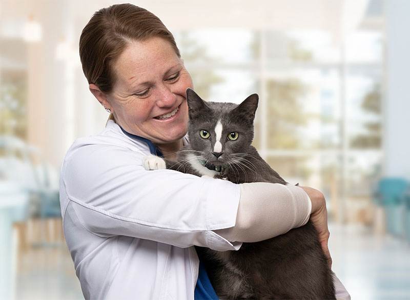 Find Veterinarian jobs in Indianapolis