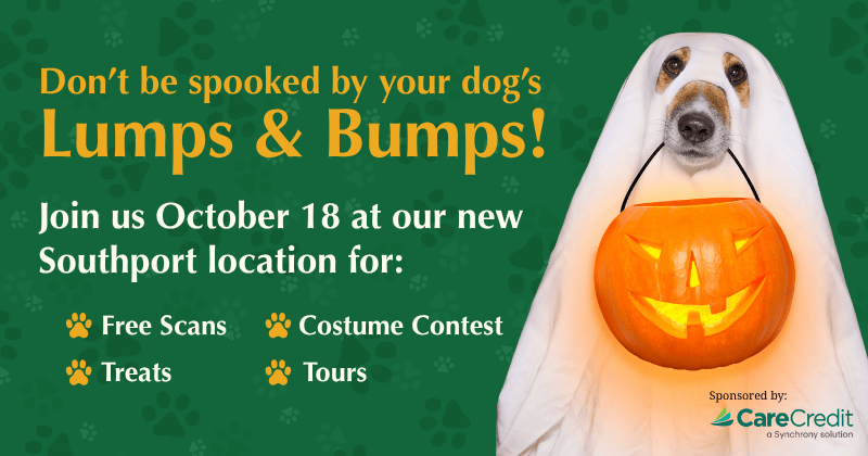 Lumps & Bumps Open House – Saturday, October 18, 9am–12pm