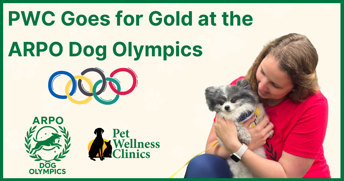 PWC Goes for Gold at the 2025 ARPO Dog Olympics