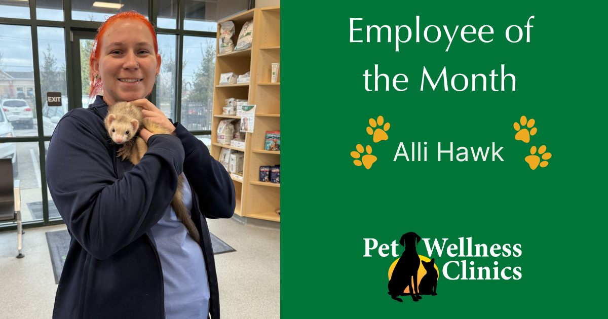 Alli ~ Employee of the Month