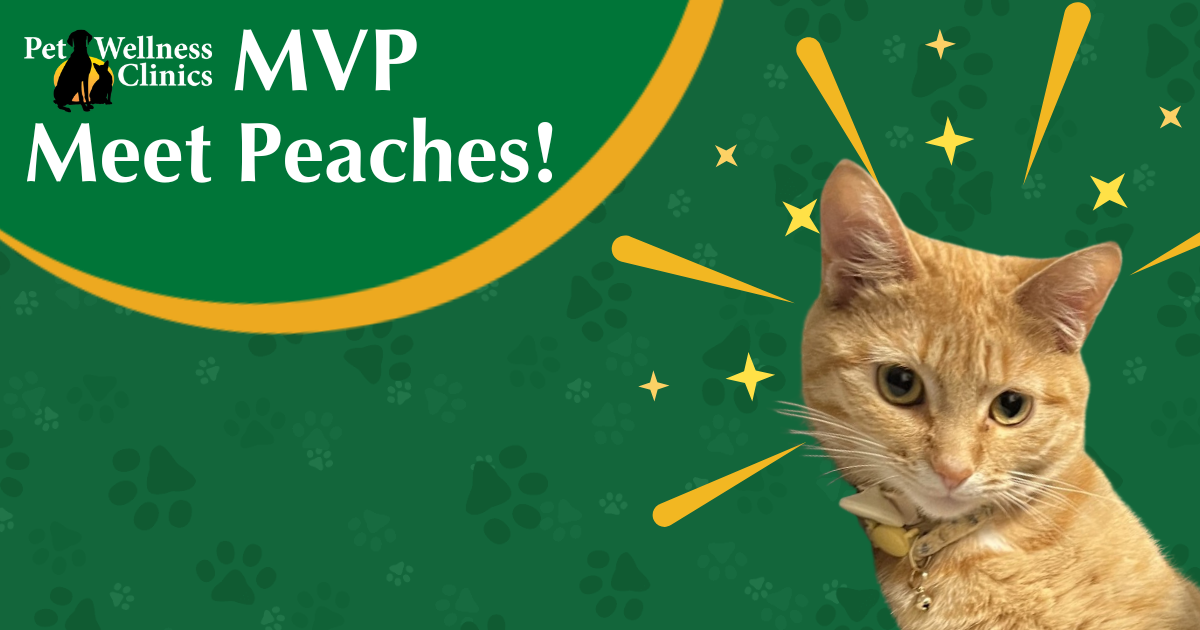 Meet Peaches! July's MVP.
