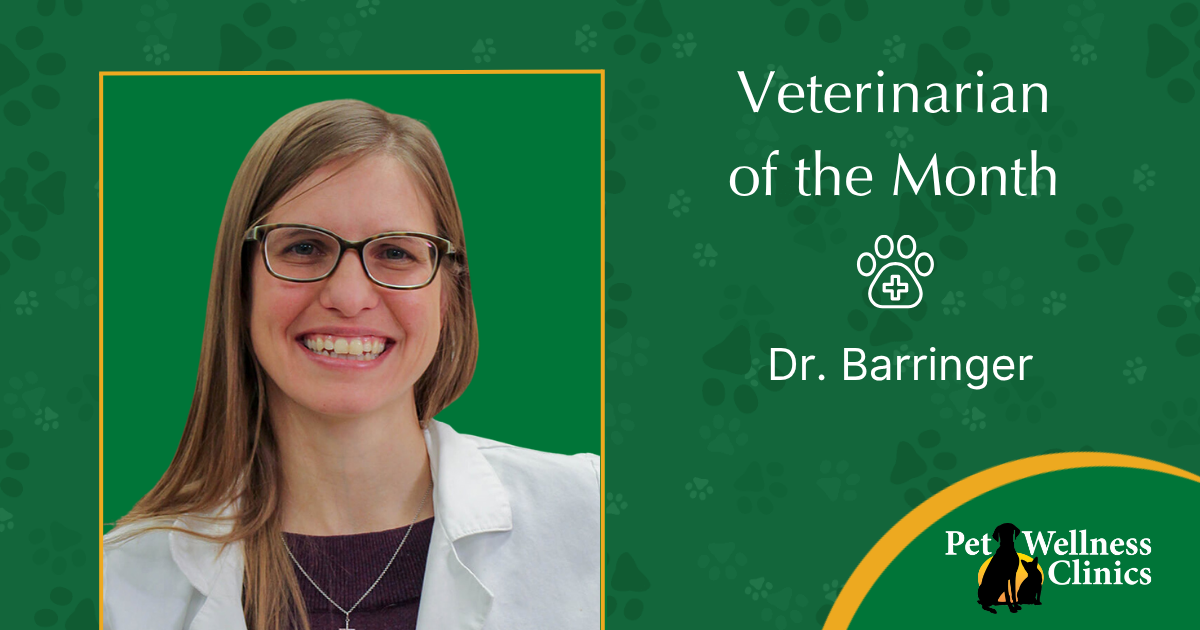 Dr. Barringer ~ Veterinarian of the Month