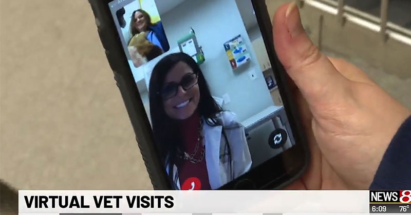 WISH TV Discusses TeleTails Digital Vet Care