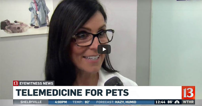 Virtual Vet Visits with Telemedicine Program