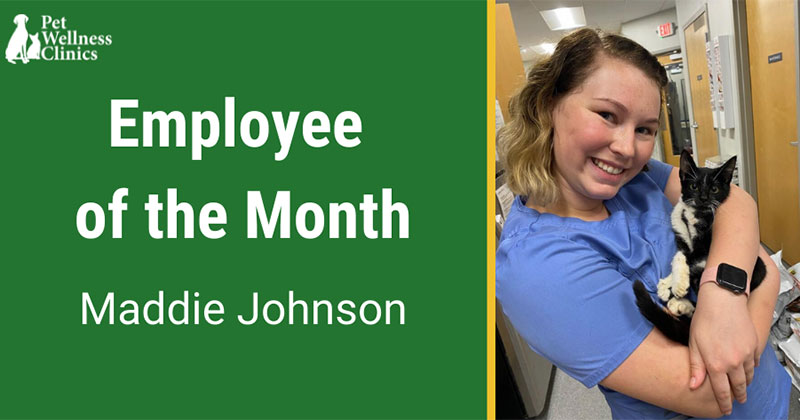 Employee of the Month February 2022