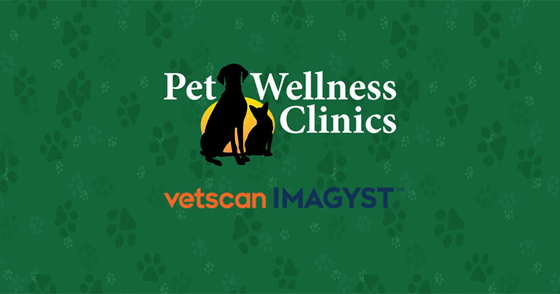 Pet Wellness Clinics Offers New Artificial Intelligence Platform for Rapid, Point-of-Care Diagnoses