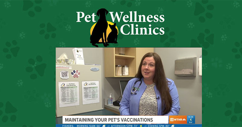 Maintaining Your Pet’s Vaccinations