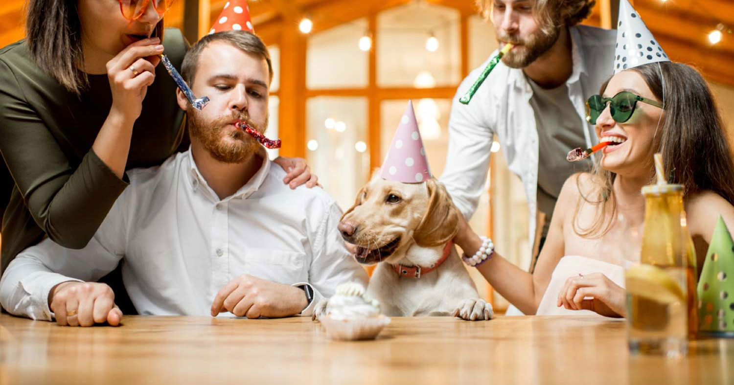 Tips For A Safe New Years and Holiday For Your Pets