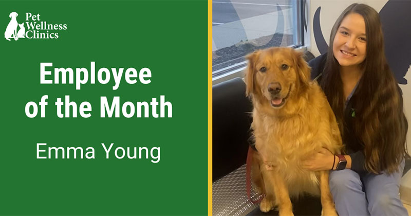 Employee of the Month August 2022