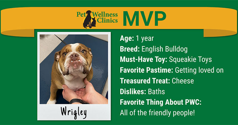 MVP (Most Valuable Pet) May 2022