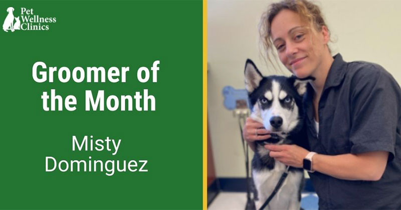 Groomer of the Month May 2022