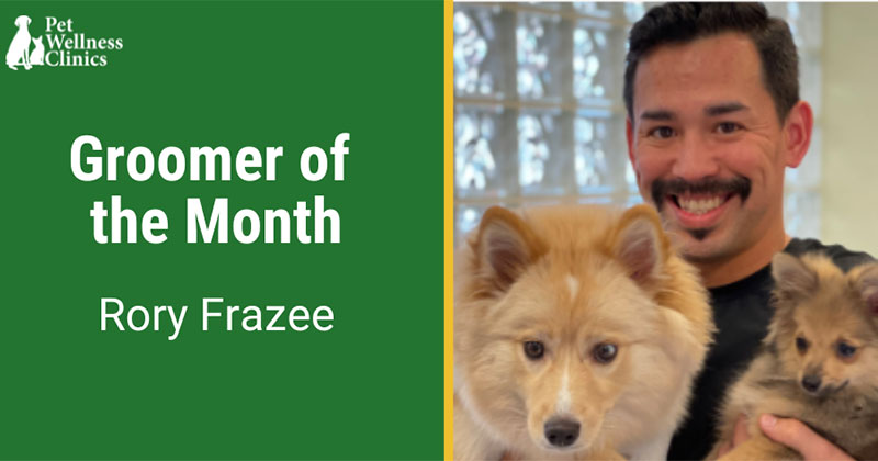 Groomer of the Month June 2022