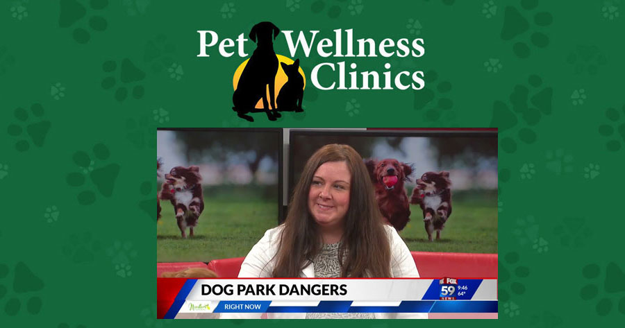 Dangers at the Dog Park