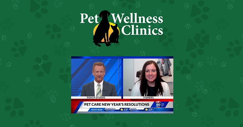 New Year’s Resolutions Should Include Pet Care