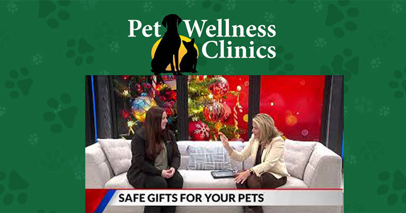 Gift Giving to Your Pet