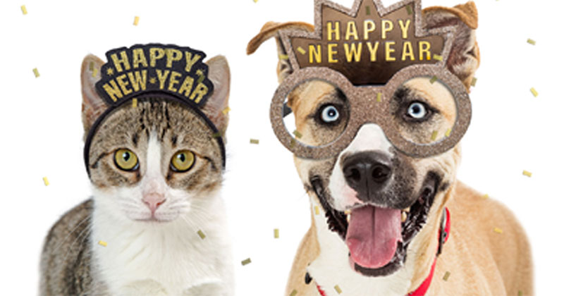 New Year’s Resolutions Should Include Pet Care