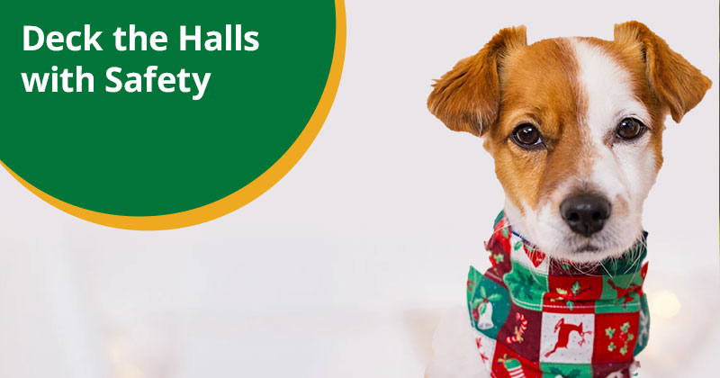 Deck the Halls with Safety