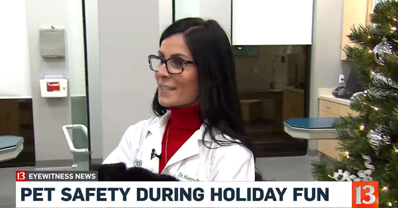 Holiday Pet Safety with WTHR-TV