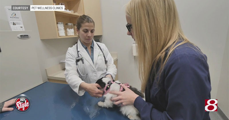 Pet Wellness Clinics invites community to new Binford location