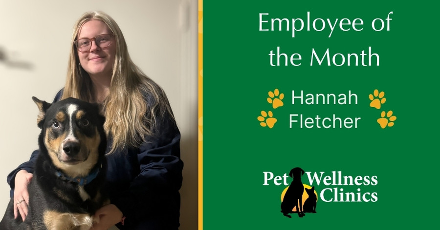 Hanna ~ Employee of the Month