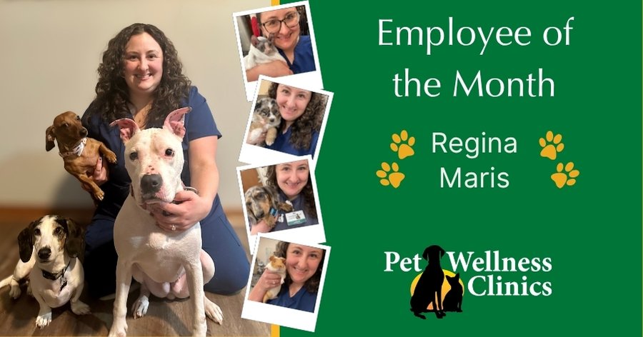 Regina Maris ~ Manager of the Month