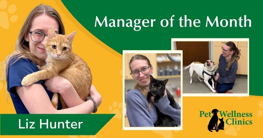 Manager of the Month ~ Liz Hunter