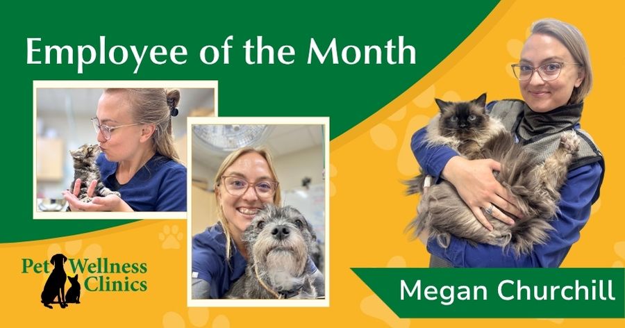Megan ~ Employee of the Month August 2026