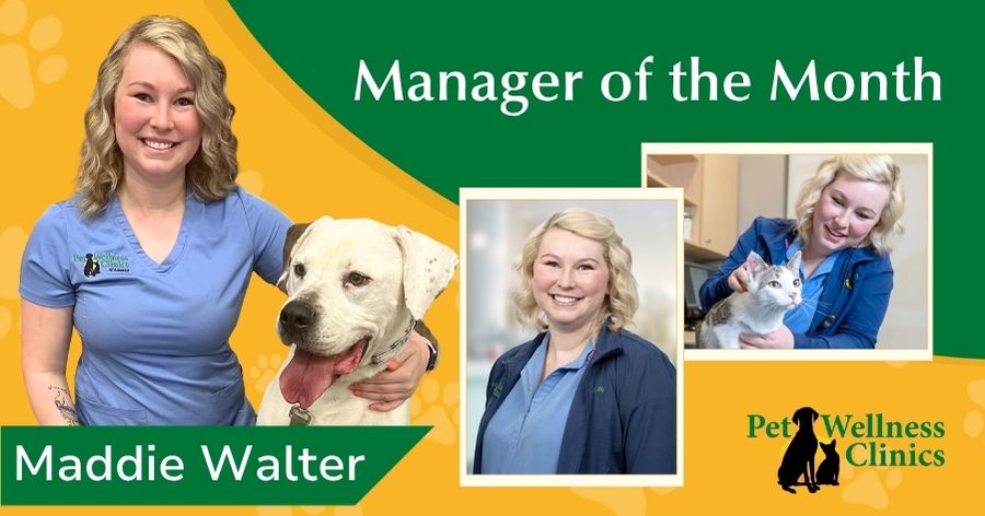 Maddie Walter ~ Manager of the Month August 2026