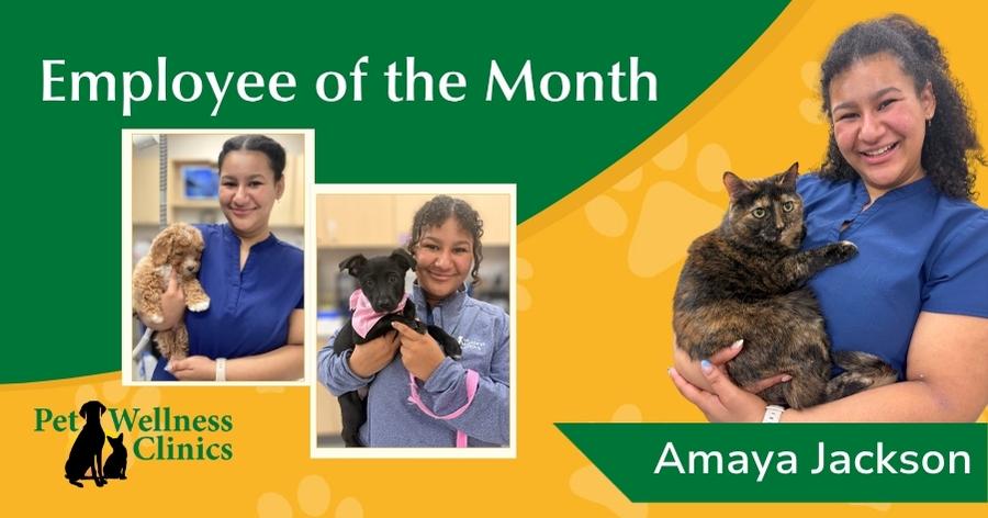 Amaya Jackson ~ Employee of the Month