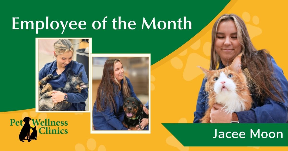 Jacee Moon ~ Employee of the Month