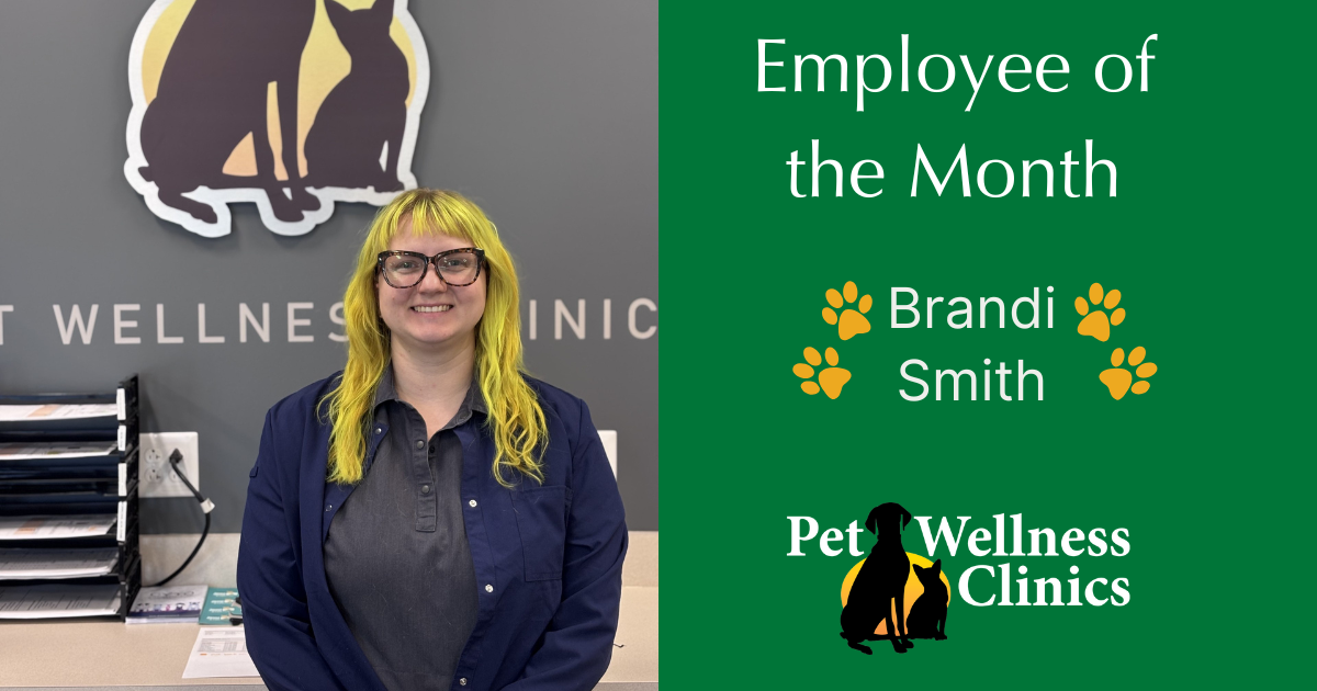 Brandi ~ Employee of the Month