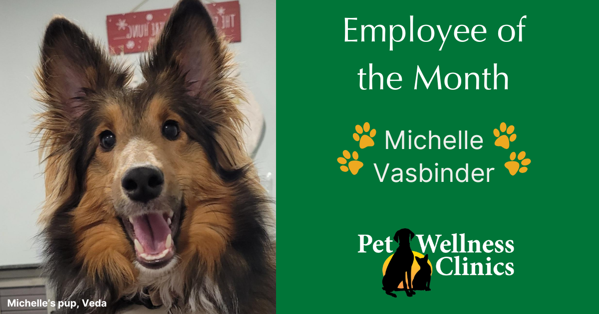 Michelle ~ Employee of the Month