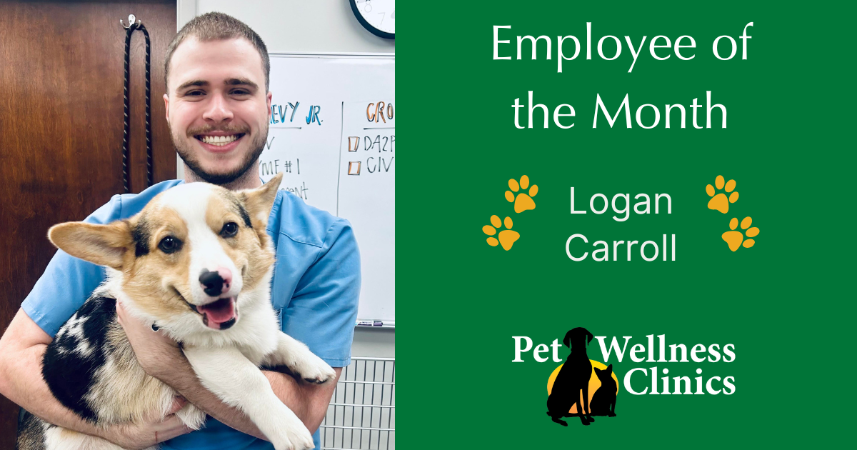 Logan ~ Employee of the Month