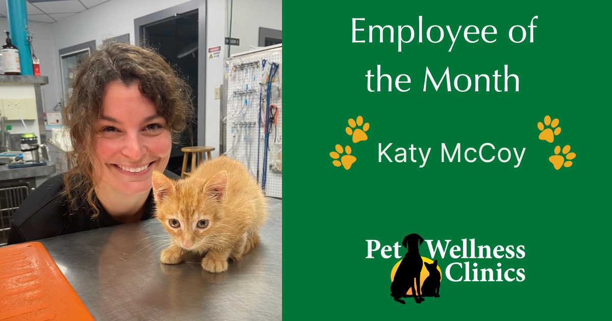 Katy ~ Employee of the Month