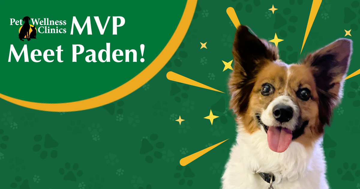 Meet Paden! May's MVP.