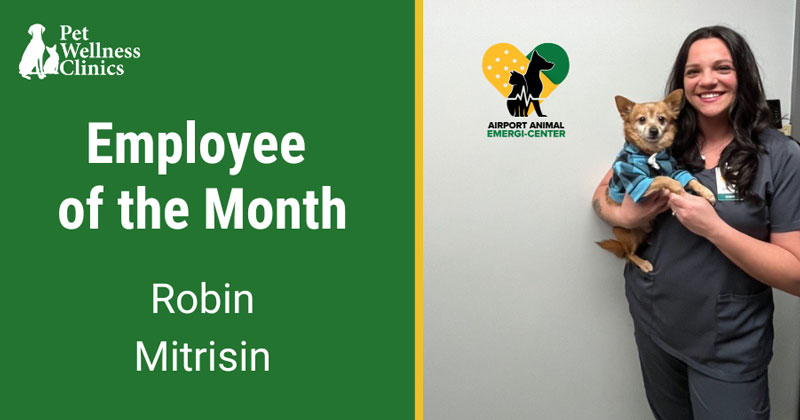 Robin ~ Employee of the Month February 2025