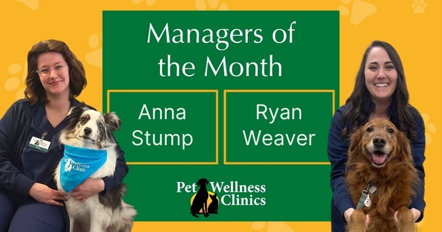 Managers of the Month – Ryan Weaver & Anna Stump