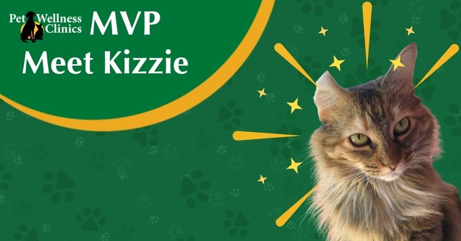 Meet Kizzie! MVP for September 2026
