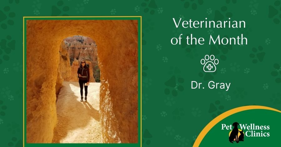 Dr. Gray ~ Vet of the Month