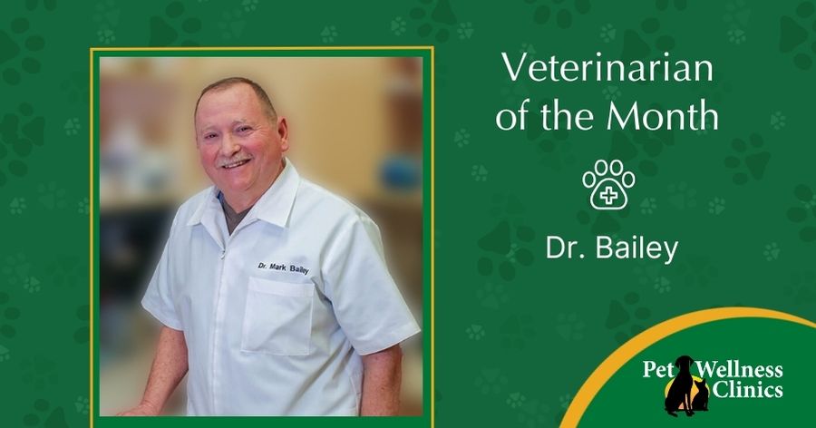 Dr. Mark Bailey ~ March’s Vet of the Month