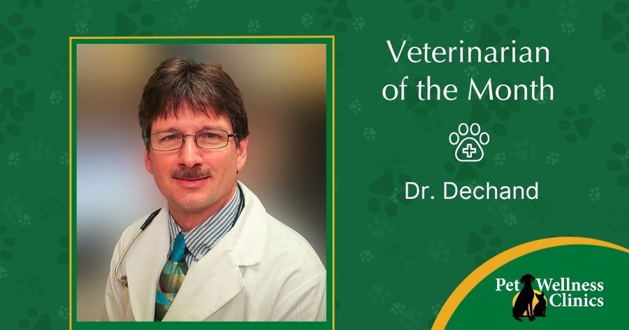 Dr. Jim Dechand ~ April's Vet of the Month