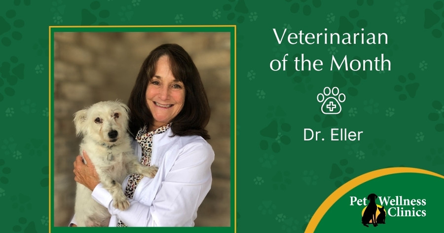 Dr. Lisa Eller ~ June's Vet of the Month