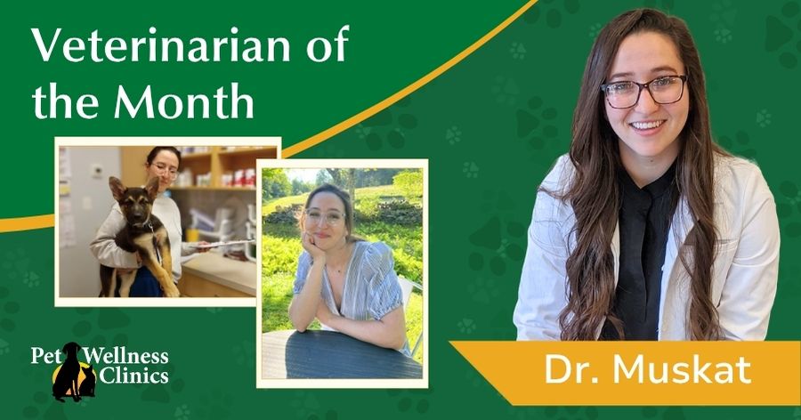 Dr. Lauren Muskat ~ August’s Vet of the Month